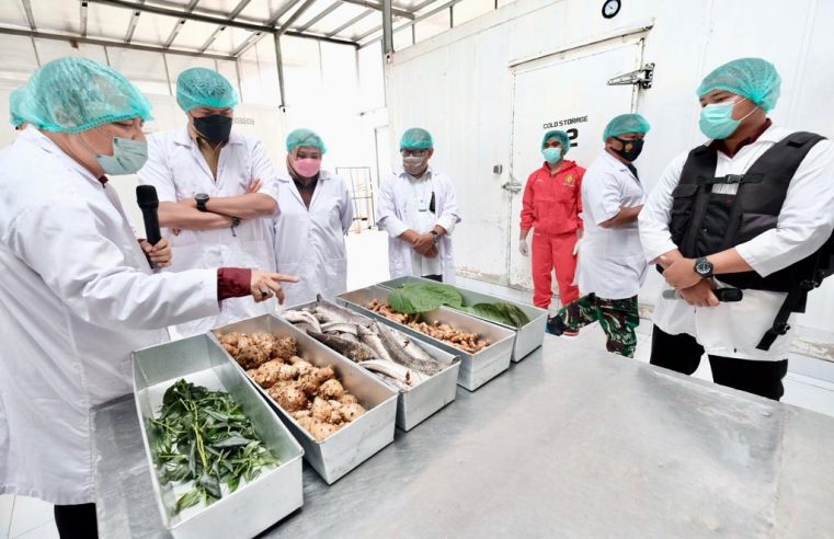 Gowa Disiapkan Jadi Daerah Penyedia Bahan Baku Pembuatan Obat Tradisional