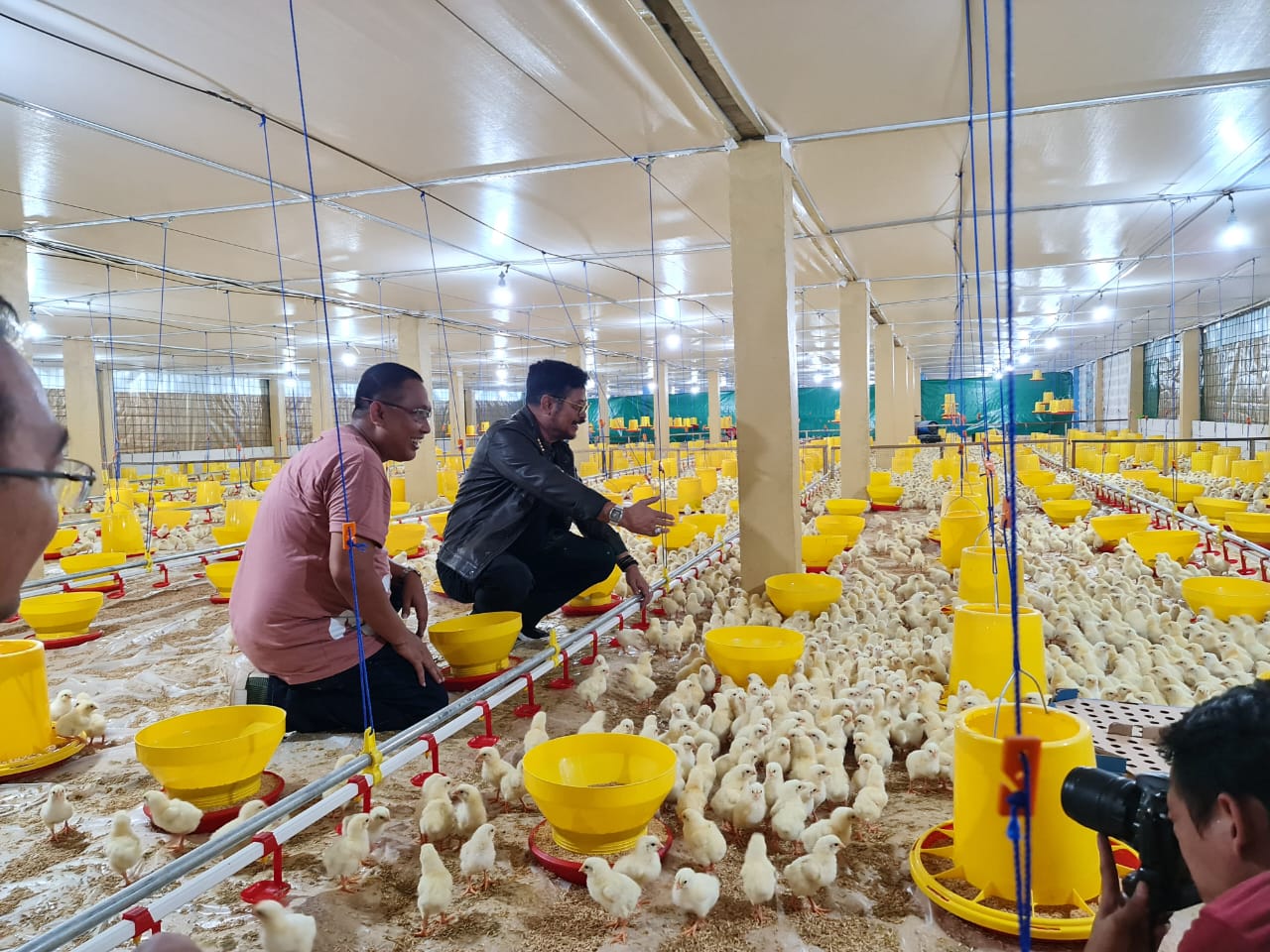 Kabupaten Gowa Jadi Lokasi Pengembangan Peternakan Ayam Broiler