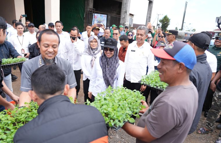 Pemprov Sulsel-Pemkab Gowa Komitmen Perkuat Komoditas Kentang di Dataran Tinggi