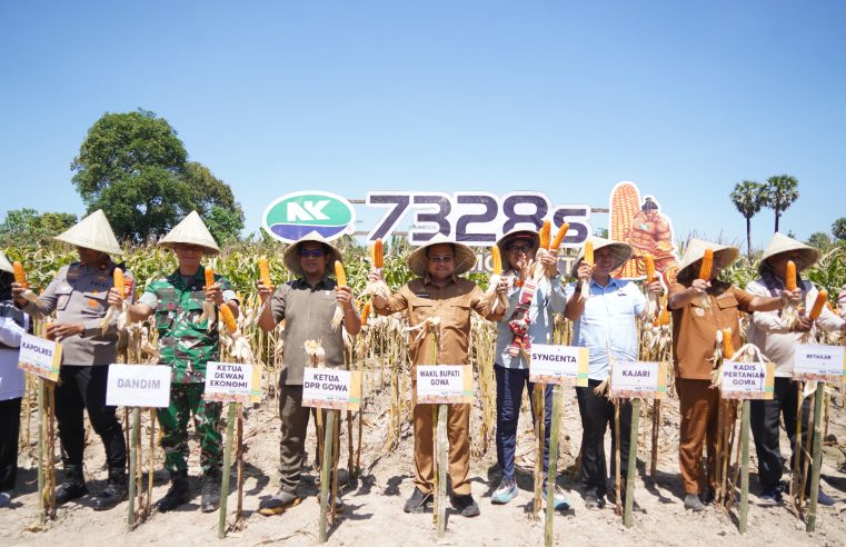 Wabup Darmawangsyah Dorong Inovasi Peningkatan Produksi Pertanian Jagung di Gowa