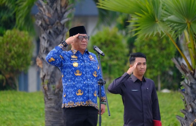 HUT ke-80 RI, Pemkab Gowa Tegaskan Keberhasilan Pembangunan