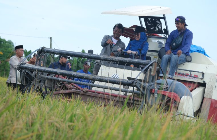 Gowa Target Jadi Lumbung Pangan Mandiri Sulawesi Selatan