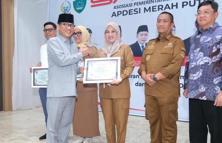 Peduli Terhadap Pembangunan Desa, Bupati Gowa Raih Penghargaan dari APDESI Merah Putih