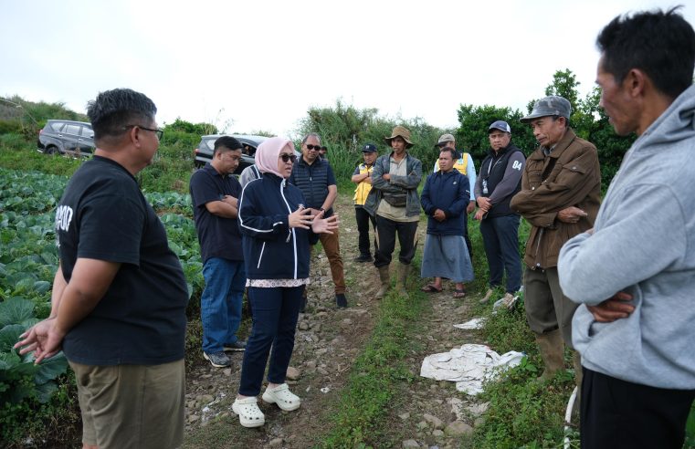 Tinjau Tiga Ruas Jalan di Tinggimoncong, Bupati Talenrang Dorong Akses Pertanian dan Wisata Lebih Baik